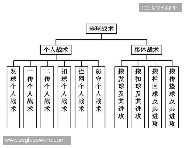 深入分析广州排球队中路突破战术的优势与应用策略 深入分析广州排球队中路突破战术的优势与应用策略
