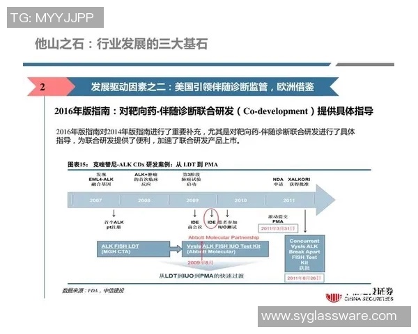 深圳羽毛球队耐力之争引发热议球员训练方式与比赛表现的深度探讨